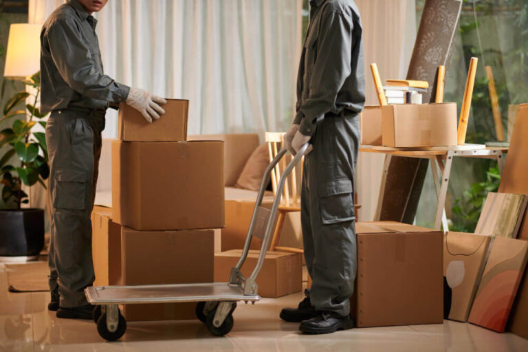 Navigating the Transition: How Professional Movers Simplify Relocation