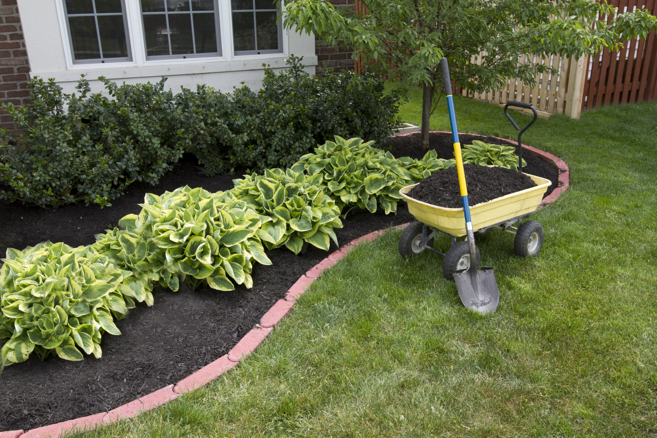 A Yard Of Mulch