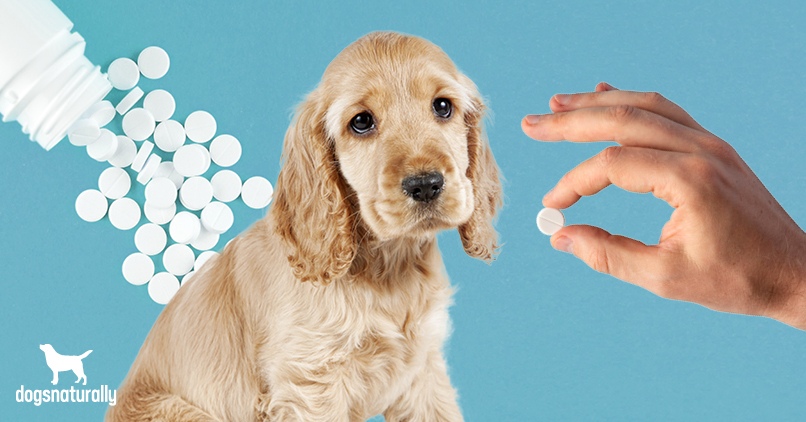 how much aspirin can i give my dog