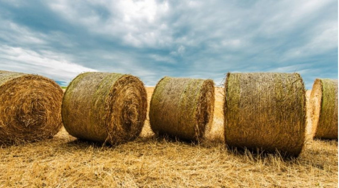 Bale Of Hay Weigh