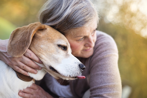 when to euthanize a dog with liver failure