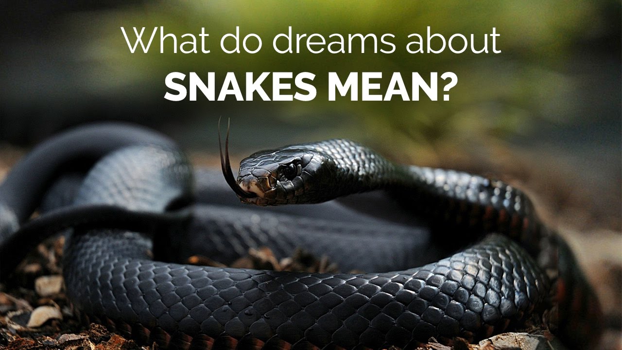 what does snakes mean in a dream spiritually