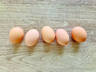 Eggs