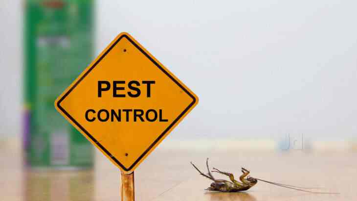 Pest Control