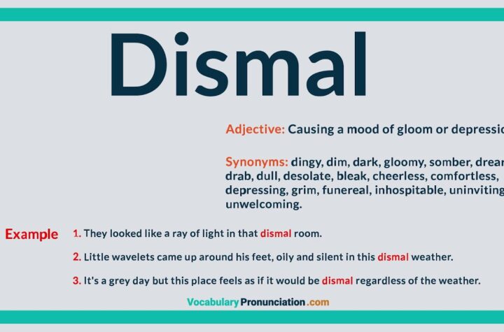 what does dismal mean