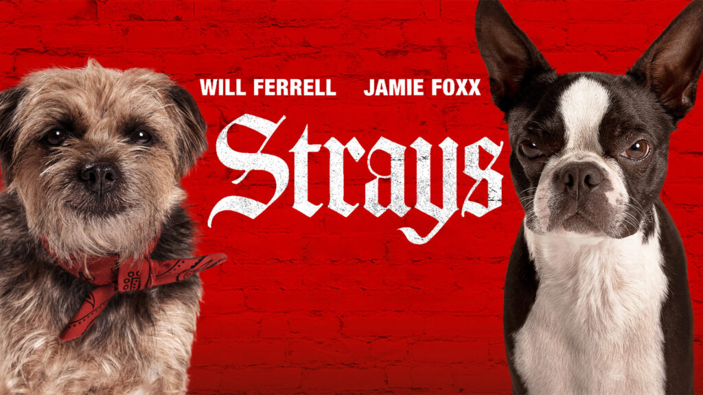 Strays