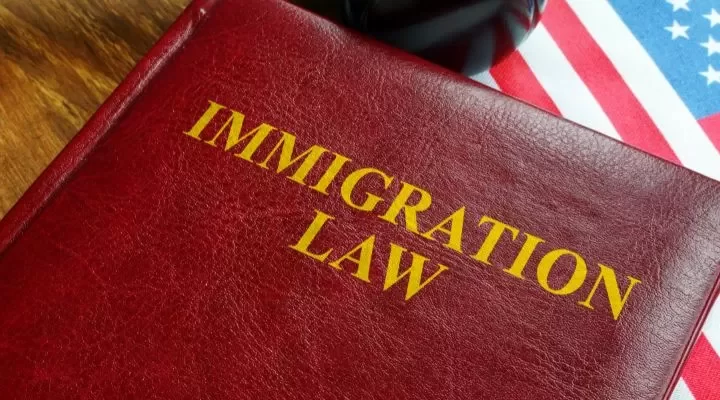 Immigration Lawyer